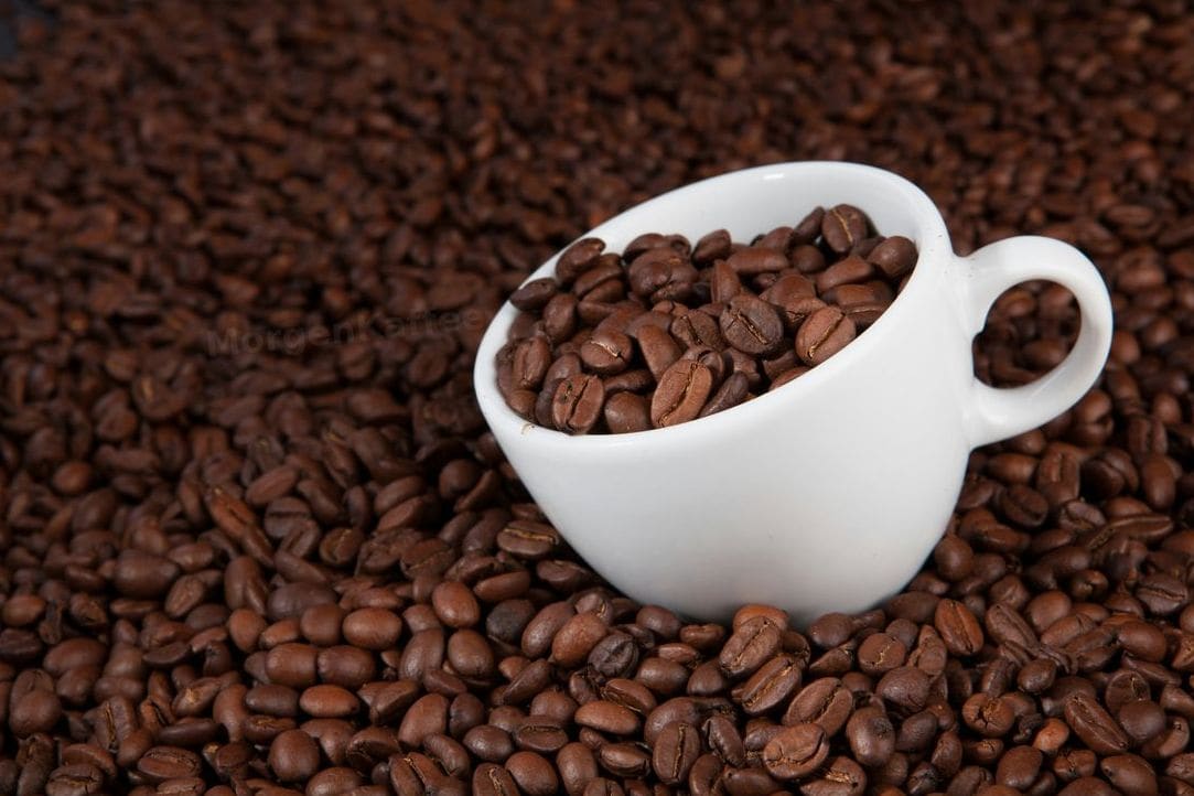 MorgenKaffee 7